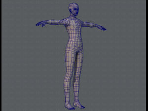 base mesh man character v04 3D मॉडल