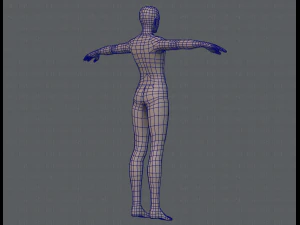 base mesh man character v04 3D Model