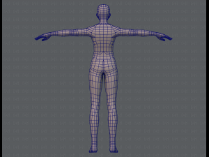 base mesh man character v04 3D मॉडल