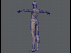 base mesh man character v04 3D मॉडल