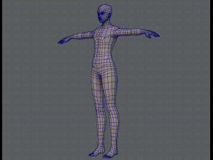 base mesh man character v04 3D मॉडल