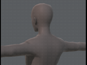 base mesh man character v04 3D मॉडल