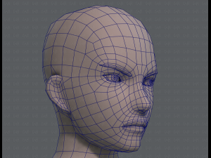 base mesh man character v04 3D मॉडल