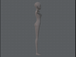 base mesh woman 06 3Dモデル