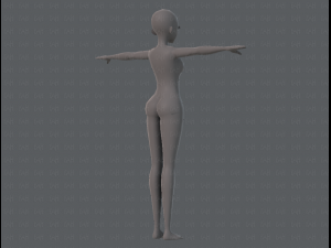base mesh woman 06 3Dモデル
