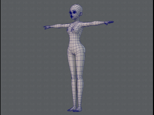 base mesh woman 06 3Dモデル