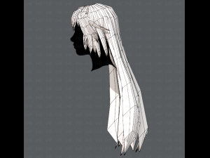 3d hair style for woman typeb v02 3D 模型