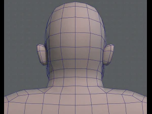 base mesh woman 08 3D Model