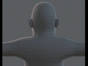 base mesh woman 08 3D Model