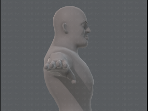 base mesh man character v07 3D मॉडल