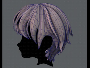 3d hair style for boy v32 3D Model