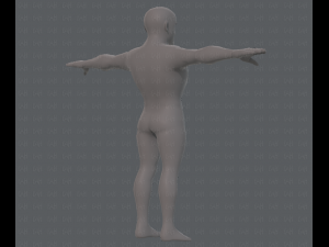 base mesh man character v10 3D मॉडल