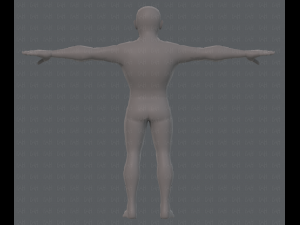 base mesh man character v10 3D मॉडल