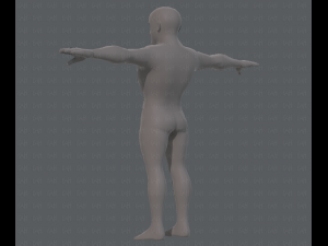 base mesh man character v10 3D मॉडल
