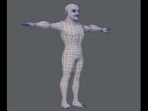 base mesh man character v10 3D Model