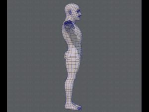 base mesh man character v10 3D मॉडल