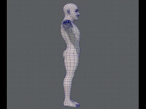 base mesh man character v10 3D Model