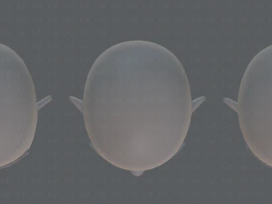 children head v01 3D Model