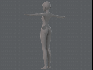 base mesh woman 11 3D मॉडल