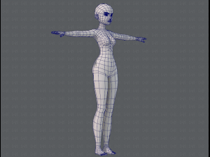base mesh woman 11 3D मॉडल