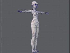 base mesh woman 11 3D Model
