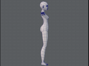 base mesh woman 11 3D मॉडल