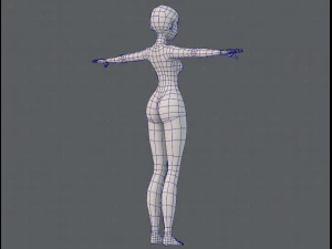 base mesh woman 11 3D Model