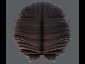 3d hair style for boy v35 3D Model