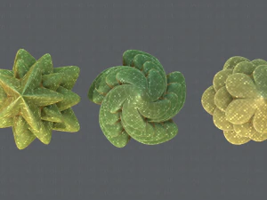 ağa&ccedil;lar &ccedil;izgi film v02 3D Model