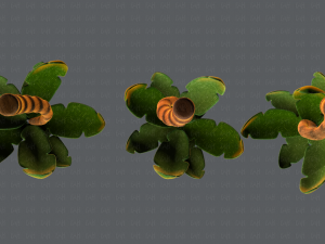 trees cartoon v03 3D मॉडल