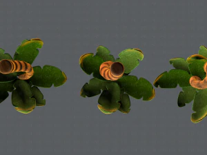 trees cartoon v03 3D Model