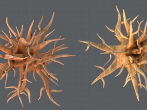 trees cartoon v04 3D Model