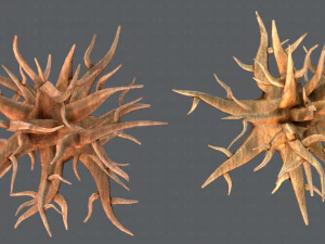 trees cartoon v04 3D Model