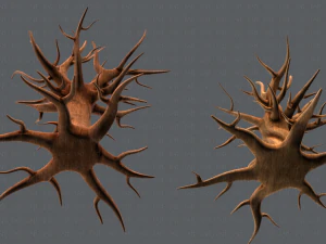 trees cartoon v04 3D Model