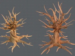 trees cartoon v04 3D Model