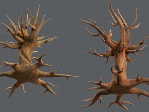 trees cartoon v04 3D Model