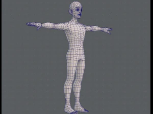 base mesh man character v11 3D Model