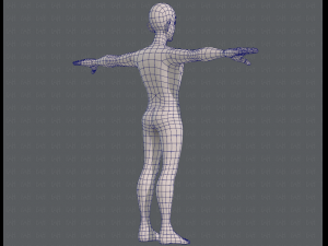base mesh man character v11 3D मॉडल