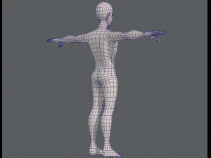 base mesh man character v11 3D Model