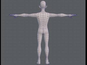 base mesh man character v11 3D मॉडल