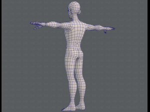 base mesh man character v11 3D मॉडल