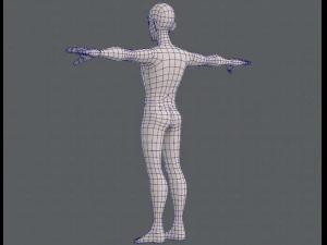 base mesh man character v11 3D Model