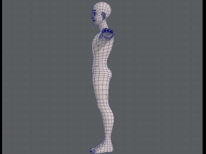 base mesh man character v11 3D मॉडल