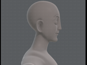base mesh man character v11 3D मॉडल
