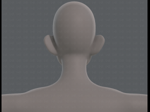 base mesh man character v11 3D मॉडल