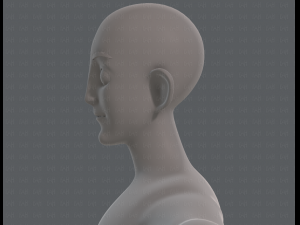base mesh man character v11 3D मॉडल