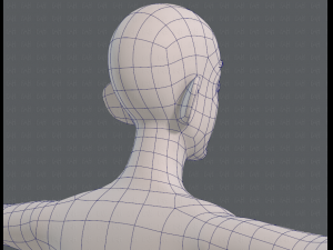 base mesh man character v11 3D मॉडल