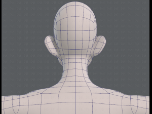 base mesh man character v11 3D मॉडल