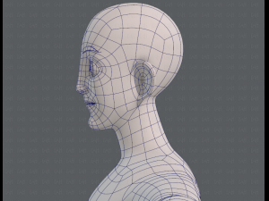 base mesh man character v11 3D मॉडल
