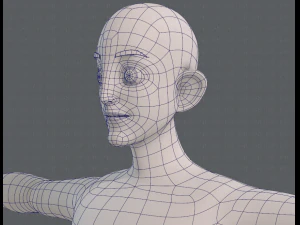 base mesh man character v11 3D Model